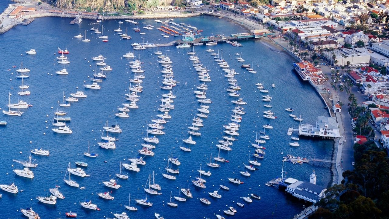 4 Night Catalina & Ensenada Cruise