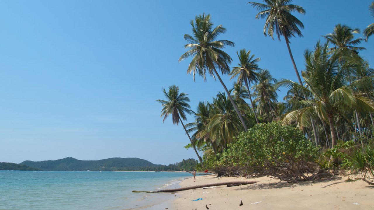 3 Night Perfect Day Getaway Cruise