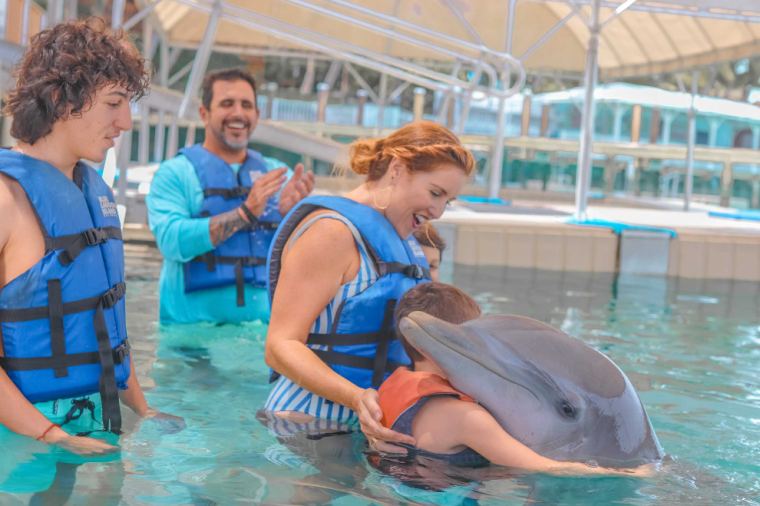 Dolphin Encounter